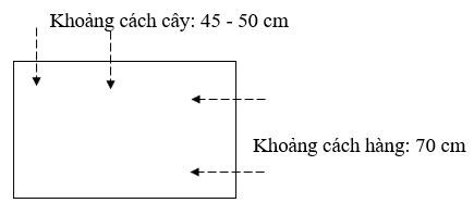 kc trong_1701059312.PNG